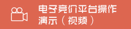 電子競價(jià)平臺操作演示