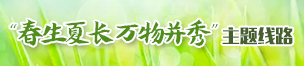 春生夏長萬物并秀主題路線